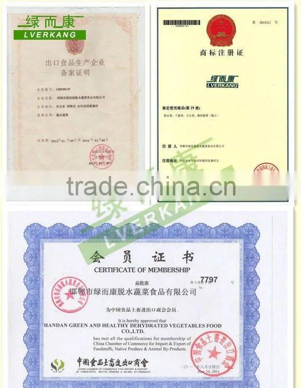certified bulk quantity and good quality bell peper