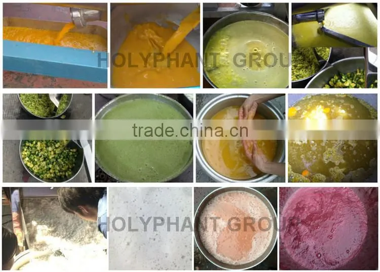 wide output range full stainless steel peach extractor machine