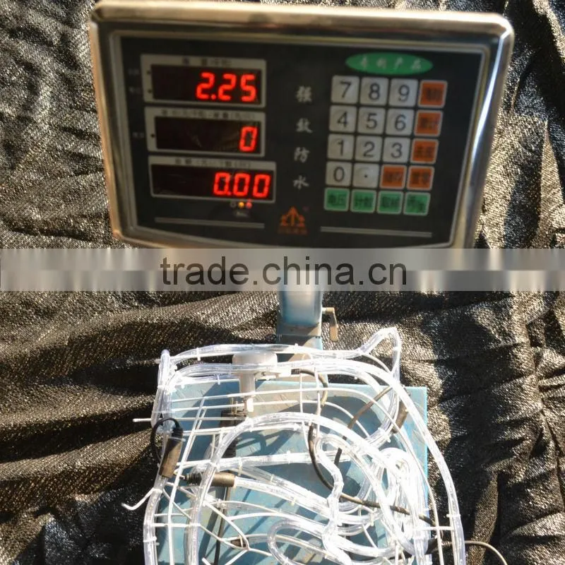 The 2013 Motor control outdoor animated rope lights