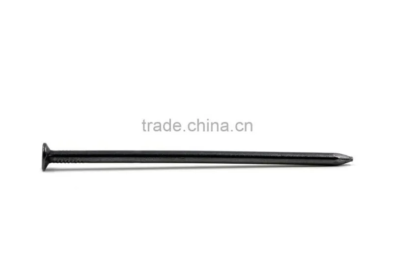 3'' Metal Electro Galvanized Iron Nials,Common Nails Smooth Shank Polised