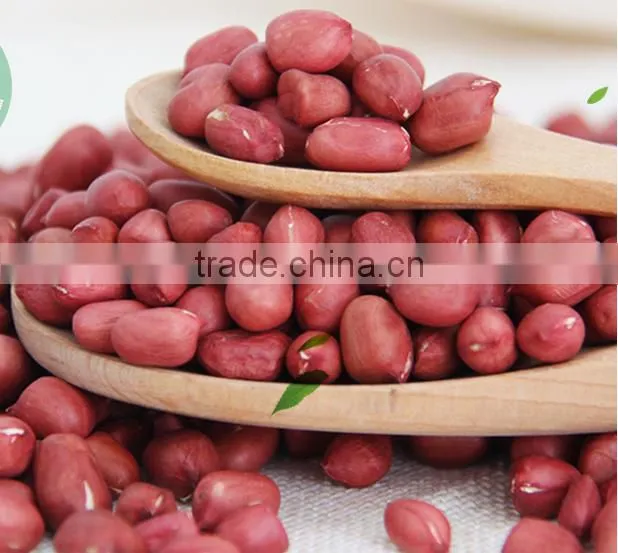 Good quality peanut oil extrude machine/small oil extraction machine