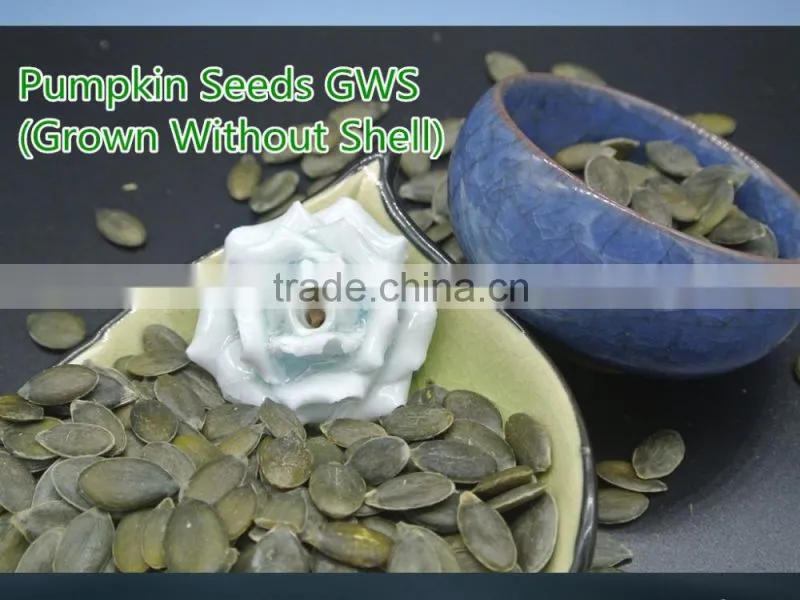 Pumpkin Seeds Kernels GWS (Grown Without Shell) Grade AA