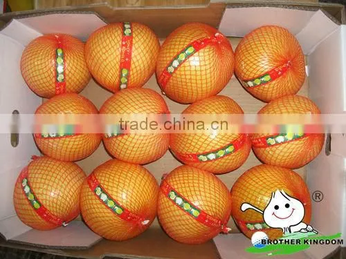 Chinese pomelo supplier