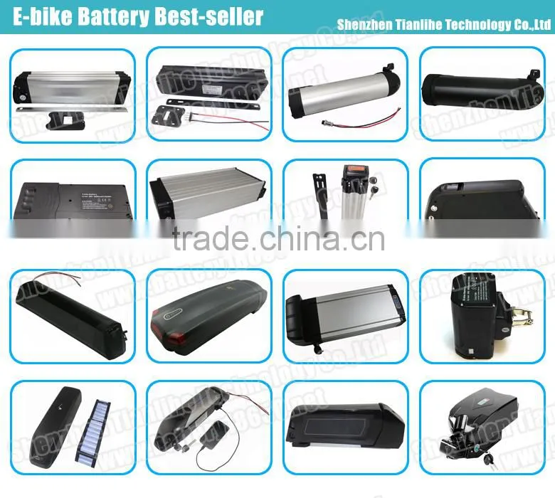 Lithium ion 48v 20ah rechargable battery pack