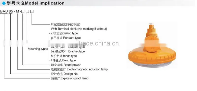 Cheap price Explosion proof energy-efficient electrodeless lamp