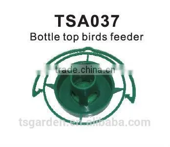 birds feeder