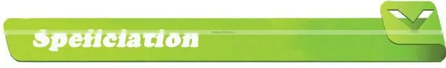 Classic Double inserted venturi tube LG type