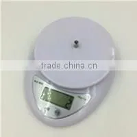 Household use LCD display vegetable food kitchen scale 5000g WH-B05