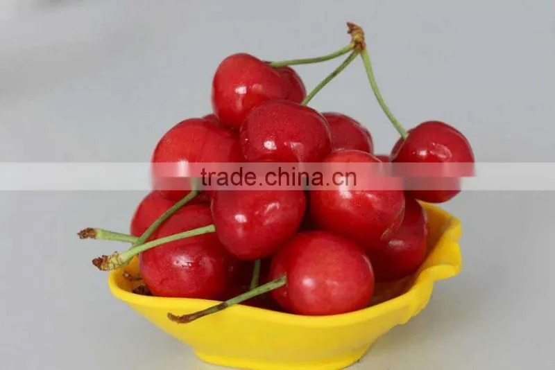 china paper bagged fresh cherries