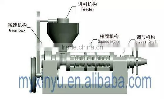 Cacao Oil Expeller EXPELLER FOR SOYBEAN