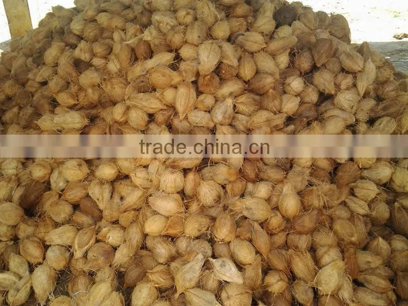 FRESH INDIAN COCONUTS