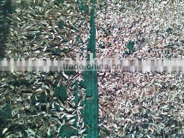 Sun Dried Shrimp Shell /Crab Shell Shrimp Shell Dried Shrimp