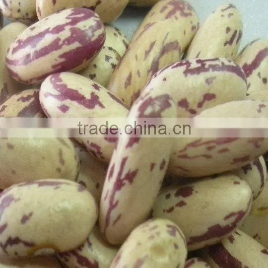 yian kidney beans