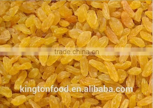 high quality dried raisin (green raisin / red raisin / golden raisin / sultana)
