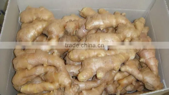 Fresh dry ginger