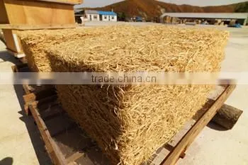 Red Ginseng Tails