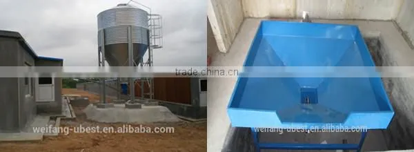 Low price Philippines poultry farm house design broiler chicken raising equipment