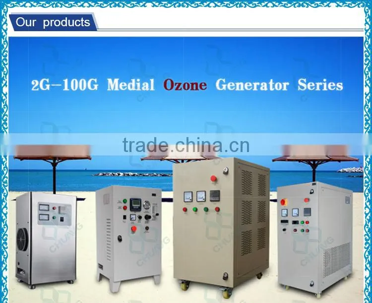 High concentration carbon steel sprayed ozone vegetable and fruit washing generator
