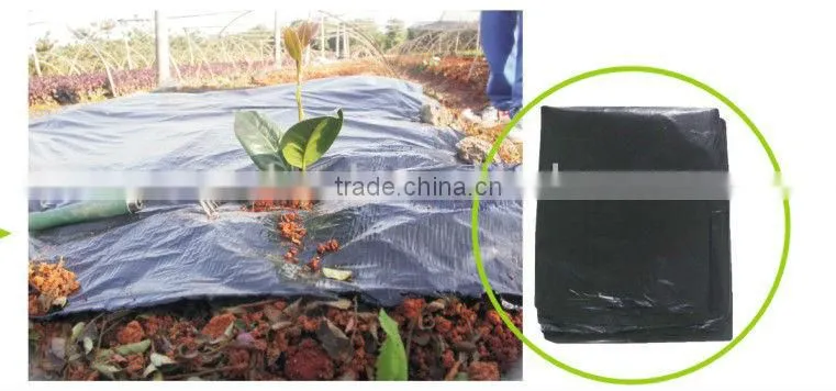 plastic film LY-H1001
