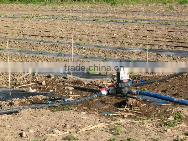 Self cleaning irrigation water filter