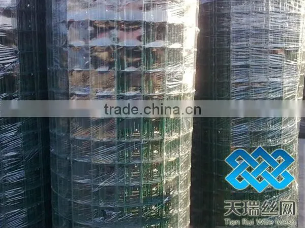 PVC Coated Holland Wire Mesh Fence Manufacturer&Exporter
