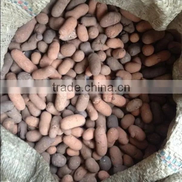 Hydroponic Growing Media expanded clay pellets manufacturers