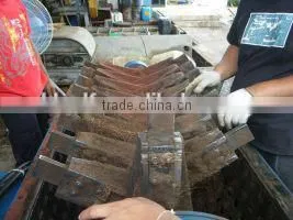 fiber extractor machine made in China to process coconut husks and oil palm empty fruit bunches