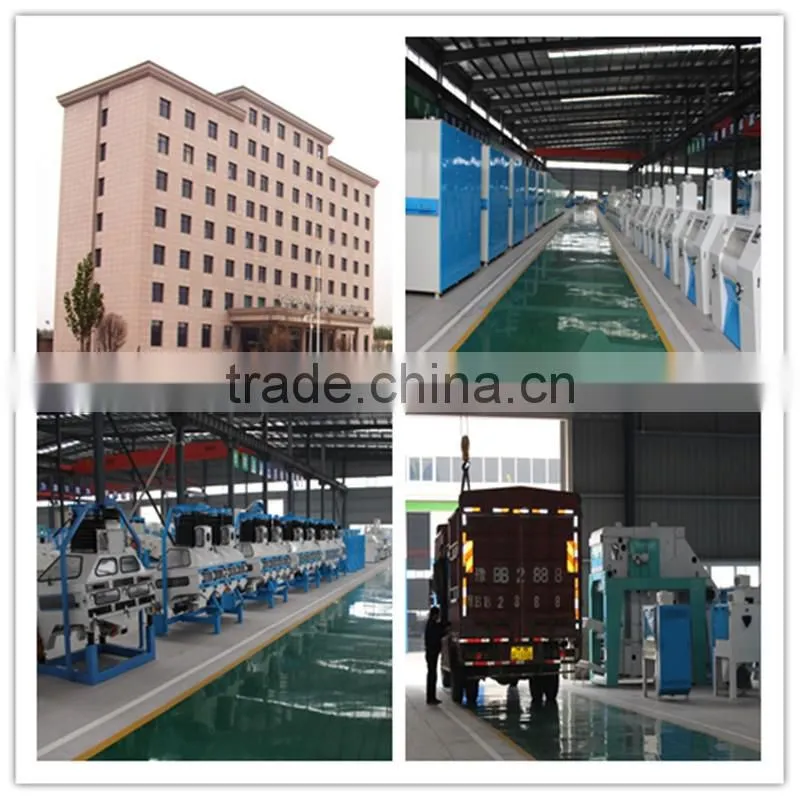 Low price 5,10TPH full automatic lentil processing line