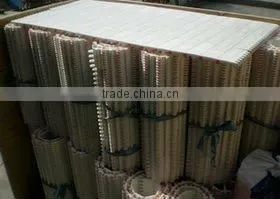 Chain-Drive Metal Mesh Belt