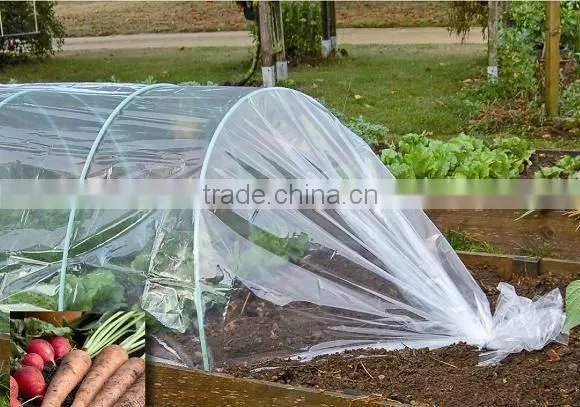 plastic gardeners cloche film