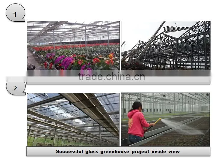 Restaurant Glass Greenhouse