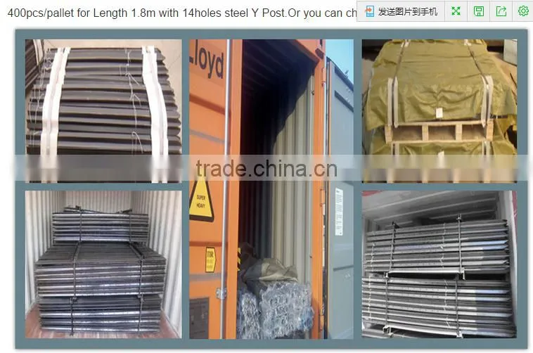 hot dipped galvanized temporary fence for sale cheap Australia temporary fencing china