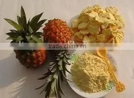 Belt vacuum powder continuous dryer for pineapple powder making