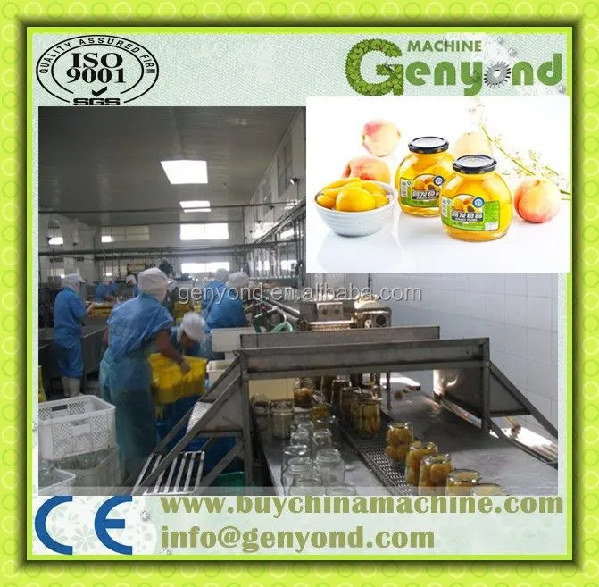 Fruit Canning Machines for Pineapple Mango