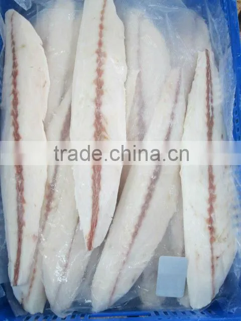 Frozen Oilfish fillets new arrive