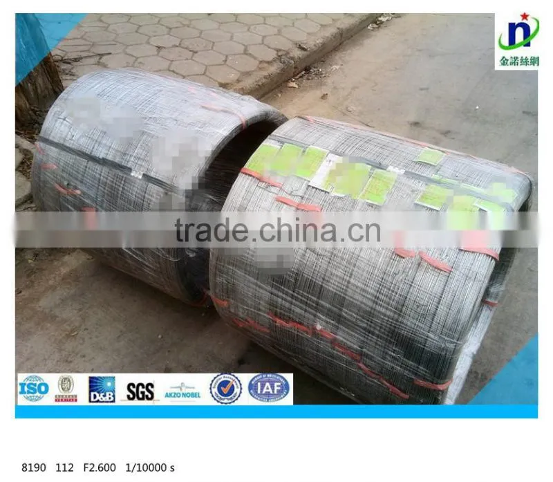 2.4X3.0 Galvanized Oval wire