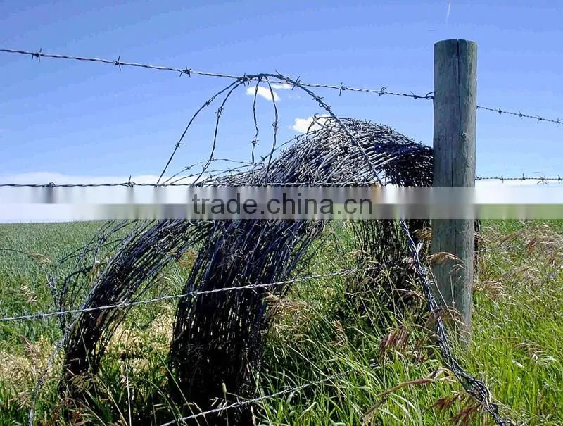 ISO9001Certificate Galvanized Razor Barbed Wire