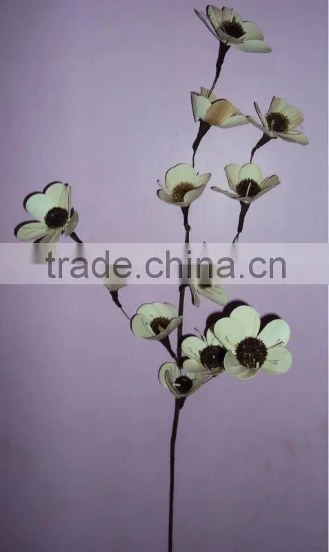 Palm flower