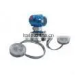 integrative temperature transmitter