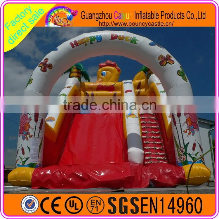 Funny carton design inflatable plastic dry slide