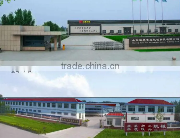 stainless steel vegetable dryer/drying machine for vegetables