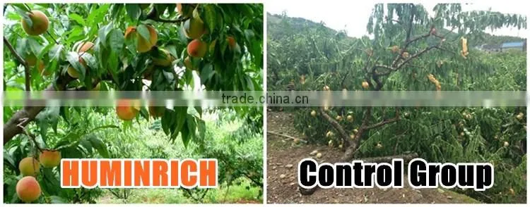 Huminrich Foliar Spray Water Soluble Fertilizer Chelate Mg