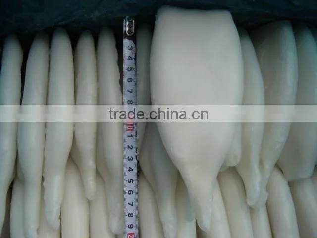 Frozen Squid Tube