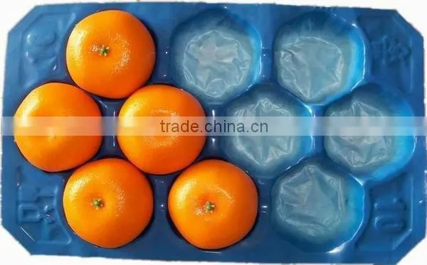 Fruit Punnet