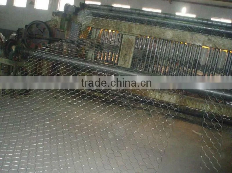 Roll Hexagonal Chicken Wire (Anping factory)