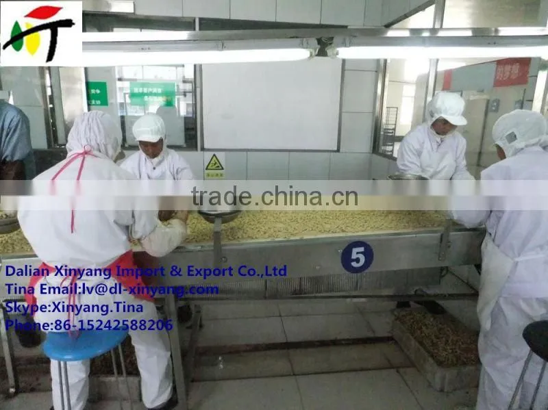 shandong coated peanut/coated peanut processing/japanese coated peanuts