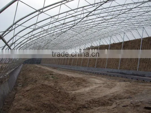 good quality vegetable tunnel greenhouse
