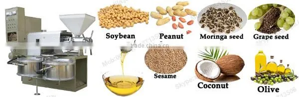 Commercial automatic screw oil press machine(mob:0086-15503713506)