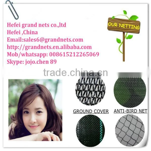 anti pigeon protection netting building use, anti Bird protection net,PE anti bird netting