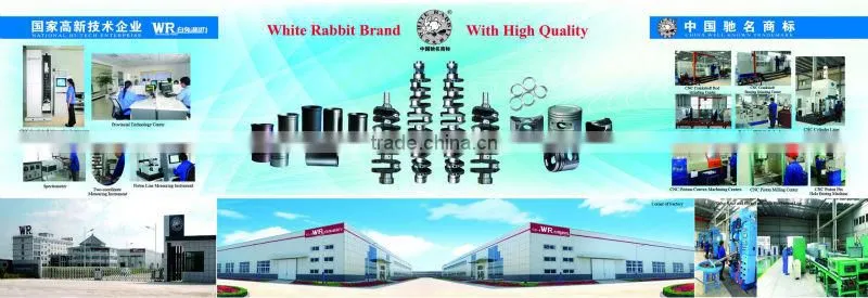 Diesel engine Qiyang R175A Valve guide
